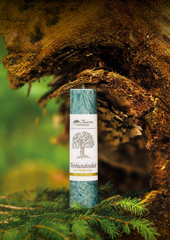 VERBUNDENHEIT - DER HEILIGE HAIN - Geist der Bäume - Allgäuer Heilkräuter Kerze