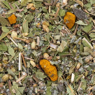 Kräutertee "Plus" - Bitterkräutertee BIO 100g